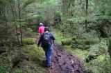 cape_fife_naikoon_provincial_park 008